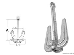 Ancora Hall classica