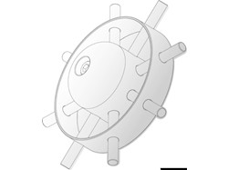 Protezione per eliche di prua