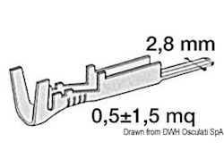 Innesto maschio in ottone