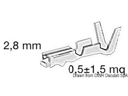 Innesto femmina in ottone