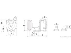 Pompa autoaspirante in bronzo con girante stellare a frizione elettromagnetica