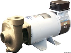 Elettropompa centrifuga in bronzo 24V 80 l/min