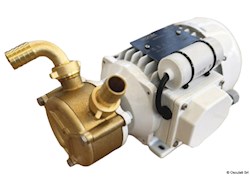 Elettropompa autoadescante in bronzo 230V 30 l/min