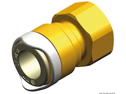 Adattatore 1/2" BSP ottone Whale