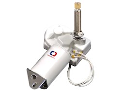 Tergicristallo 12 V 20 W 25 mm