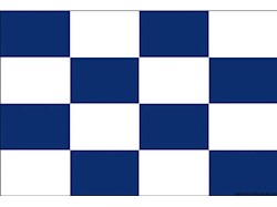 Bandiera lettera N 20 x 30 cm