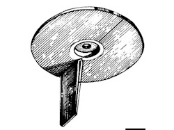 Anodo Yamaha 20/50 HP zinco