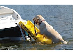 Scaletta bagno per cani