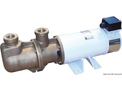 Elettropompa autoadescante monovite in bronzo 24V