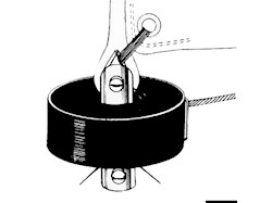 Girafiocco con ritorno manuale a cimetta e Girella testa albero SEA SURE
