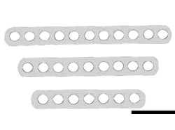 Landa forata classica