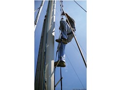 Scala antitorsione per albero da 10 m (lunghezza scaletta 8,80 m)
